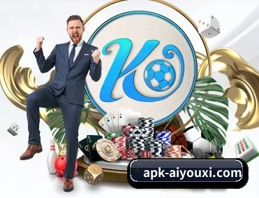 ayx 应用程序